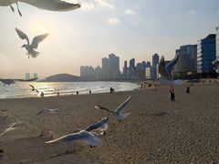 -海云台海滩