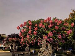 -杭州城北体育公园