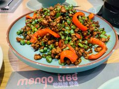 -mango tree芒果树(万象城店)