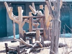 -沈阳森林动物园