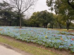 -上海滨江森林公园