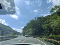 -四明山国家森林公园