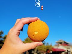 -皇承御点·八旗饽饽铺(避暑山庄店)