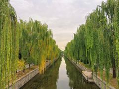 -元大都城垣遗址公园