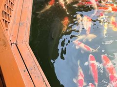 -香麒园·过桥米线·南湖雅宴