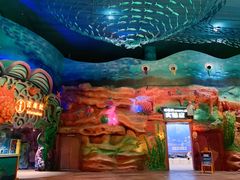 -青岛嘉年华主题乐园