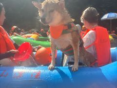 -安吉龙王山峡谷漂流