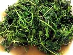 -观桥阁(锦溪店)