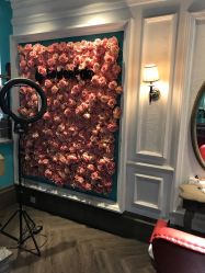 点击看大图 -金棕榈