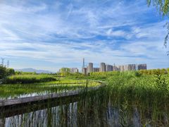 -永定河休闲森林公园