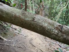 -鸡枕山