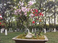 -荆川公园