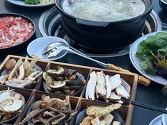 -野菌皇海景野生菌火锅(滨海大道店)