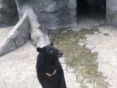 -柳州市动物园
