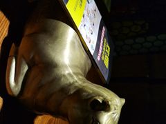 -炊烟小炒黄牛肉(东庆街店)