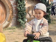 -HERRE·FARM 赫尔露营农场·团建聚会包场