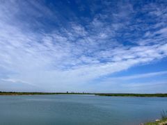 -东方巨龟苑景区