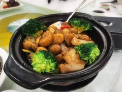 -金华安大酒楼·老牌潮菜·粤式茶点(东方国际店)