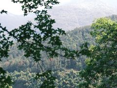 -百漈沟生态旅游景区