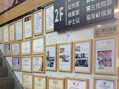 -半岛宠物医院24小时·内窥镜·牙科·碎石中心(府城大道店)