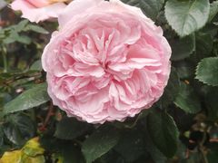 -人民公园(罗湖区)