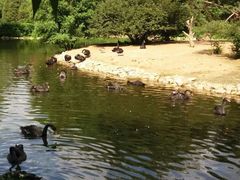 -长白岛森林公园