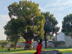 -养云安缦吧THE BAR