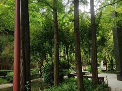 -西安曲江寒窑遗址公园