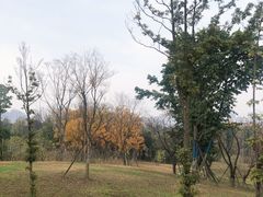 -白鹭湾湿地公园