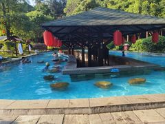 -森波拉火山温泉