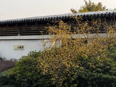-蠡湖大桥公园