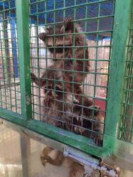 -萌宠亲子动物乐园(槐房万达店)