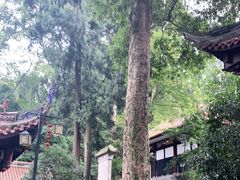 -都江堰普照寺