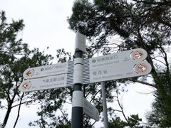 -狐尾山公园