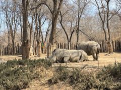 -北京野生动物园