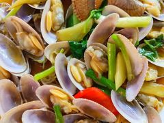 -潮粤啫啫煲大排档