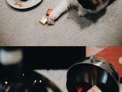 -布歌东京(益田假日店)