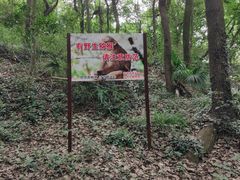 -苏州上方山国家森林公园