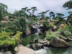 -罗红摄影艺术馆