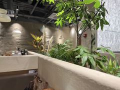 -滇牛云南火锅(桂林路店)