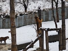 -济南野生动物世界