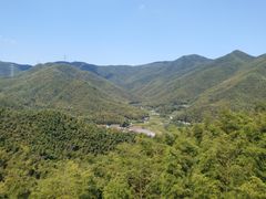 -宁波浙东大竹海景区