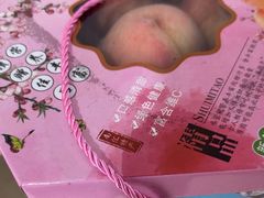 -南汇水蜜桃采摘(大团店)