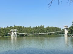 -东湖落雁景区