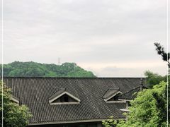 -老幺泉水鸡