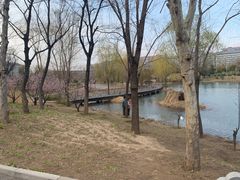 -河南财经政法大学(郑东校区)