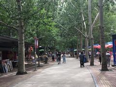 -廊坊市自然公园