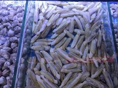 -渔民船说·北塘海鲜·天津菜·海肠捞饭(北塘古镇店)