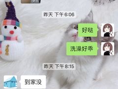 -宠物之家Pets Home 宠物寄养酒店