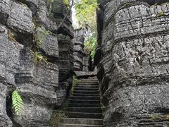 -梭布垭石林景区